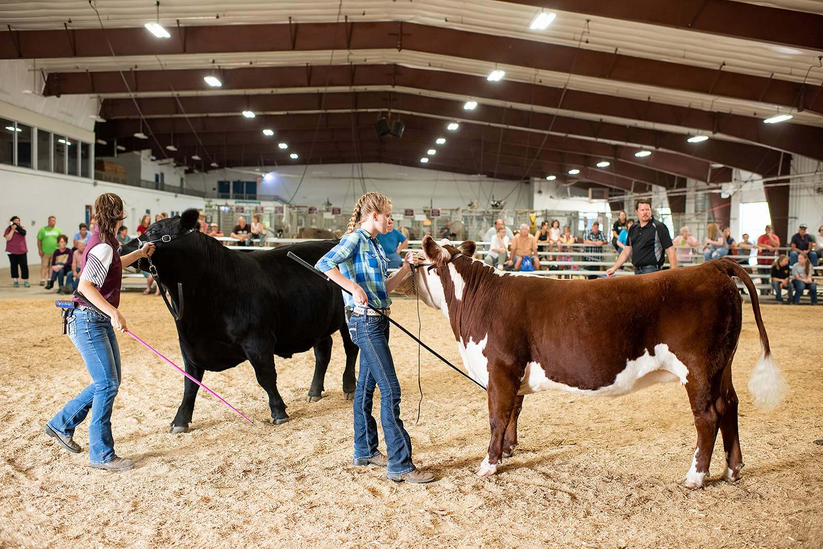Beef Show - OCF